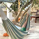Olive Tree Homes *