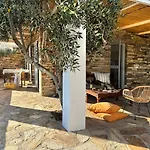 Olive Tree Homes * Ios
