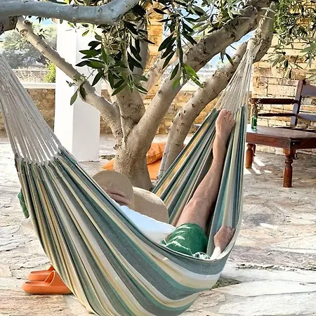 Olive Tree Homes *
