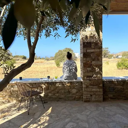 빌라 Olive Tree Homes *