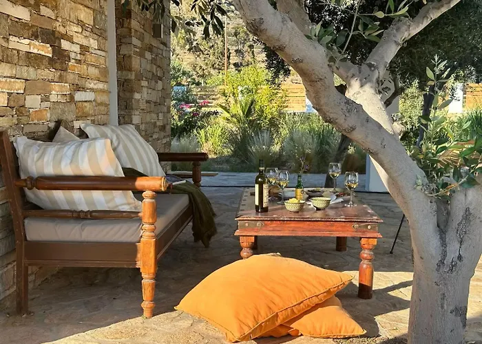 Olive Tree Homes Villa Chora